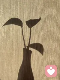 被看见，意味着我们的某种情绪感受，被另一个个体接收到了，就像一面镜子，从中映照出了自己。于是我们从中确认自己的感受，体验到爱和自我价值感——没有比这更美妙的事情了。配图