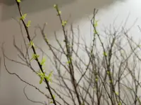 治愈無意義感的最好辦法，就是給出愛和價值。配圖