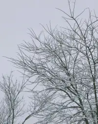 那些看似寬宏大量的人，不是沒有情緒，而是他們清楚目標比情緒更重要！配圖