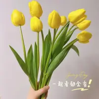 當我們需要別人來理解和體諒的時候，就已經把內心的掌控權交出去了，無論別人是誰！配圖