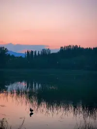 創(chuàng)傷并不可怕，可怕的是我們不知道怎么樣把這種痛苦的體驗和經(jīng)歷變成我們的內(nèi)在資源。
當(dāng)你在絕境中，一無所有的時候，也許恰恰是你資源最豐富的時候。配圖