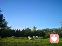 很多人都認為父母對孩子是最無私的愛，但事實是，很多父母卻是孩子最早的競爭者。配圖