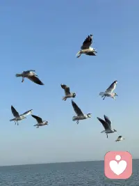 潛意識(shí)以果為因，你的現(xiàn)狀就是你最真實(shí)的需求。配圖