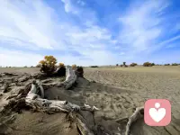 每個(gè)人的成長(zhǎng)之路具體來(lái)看都不一樣，但其中有一個(gè)相似性的地方，那就是成長(zhǎng)之路一定是去走那條跟熟悉的不一樣的、新的路，一定是克服某種困難和挑戰(zhàn)去拓寬了新經(jīng)驗(yàn)，去點(diǎn)亮了新地圖。 ???配圖