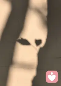 我们不会遇见我们不相信的东西，因为遇见了你也会怀疑地走开。配图