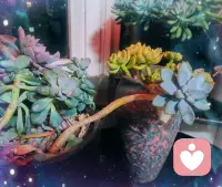 不要以現在的認知去指責過去的自己，你現在的高度，是為了更好地理解和接納過去的自己，而不是為了批評一切。配圖