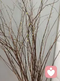 没有“攻击性”的人，不会有真正爱的能力。配图