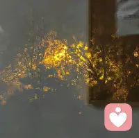 不敢撒娇，是因为不确信对方可以完全接纳自己，并给自己一个好的回应。
一个人只有确认了外部世界是可靠安全抱持的，才敢一点点呈现真实的自己。在不确信之前，总是会用各种方式不断测试环境的稳定性一致性。 ​​​配图