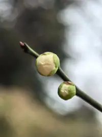 當我們脆弱時，需要的并不是一個巢穴，而是用關系的連接去對抗無常。配圖