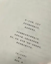 有一片田野
它位于
是非對(duì)錯(cuò)的界域之外
我在那里等你
——魯米配圖