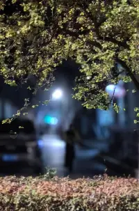 如果有人欺騙了你，那一定是你先欺騙了自己。配圖