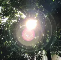 我們在世界上接受的不是事實，接受的是我們的那些情緒和感受。只有處理好情緒和感受，才會成為一個更有生命動力的人去享受世界。配圖