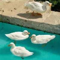 一個(gè)好的建議是被互動(dòng)創(chuàng)造出來的，是在互動(dòng)進(jìn)行到一定深度后自然涌出的，它是兩個(gè)人持續(xù)交互所貢獻(xiàn)的結(jié)果，而不是預(yù)先設(shè)定好的重復(fù)腳本。配圖