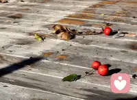 拒絕建立新關系，是在保護舊關系。我們理解過去就是為了跟過去拜拜，我們越是能夠理解自己是怎樣忠誠過去的，就越能夠背叛，而背叛就是成長。配圖