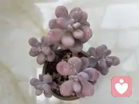 遠離那些反復觸發你的心理健康，并降低你情緒的人，是最重要的自我照顧。配圖