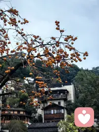 如果必須墜落，就讓我墜落，我會成為的那個人一定會接住我。

謝麗爾·桑德伯格配圖