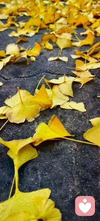 短暫的逃離不如找到：我在這里的理由！配圖