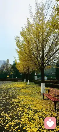 當(dāng)一個人對自己沒有愛、沒有信任時，自然就希望從別人那里得到。可悖論卻是：一個連自己都不會愛的人，也不可能給別人愛。配圖