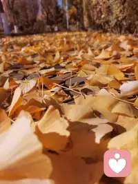 不用為自己的脆弱感到難堪，偶爾的哭泣、逃避，都沒關(guān)系，允許它們存在，這是完整自我的一部分。配圖