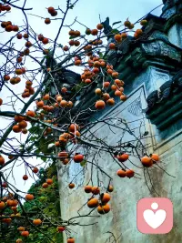 總想回到過去的關系中，不是因為念舊和深情，而是精神上總想著跑回熟悉的舊區域，不想往前跑。往前跑建立新鏈接是有勇氣和自我認可度高的人的領域和樂趣 。配圖