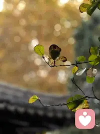 當(dāng)理性無法權(quán)衡清楚利弊而敗下陣來后，我們就要請感性幫忙我們確定內(nèi)心真實的狀態(tài)和需要了，而情緒，就是感性對我們說的話。配圖