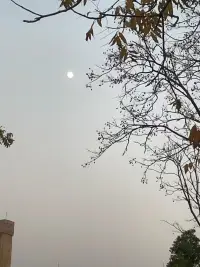 有些关系其实是没法调整改善的，因为有些人吧，他们的生存之道，就是通过让别人不舒服，来缓解他们自己的不舒服。远离这种自带不舒服体质的人，你才能过得舒服。