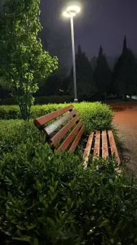 不要去分析別人，你在思考誰就在承擔誰的因果。復盤爛人爛事等于霸凌自己，少拿用別人的錯誤來懲罰自己。你不需要明白為什么他要這么做，因為你不是他這樣的人，所以你不需要理解！配圖