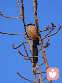 不喜欢走入人群，一个人待着自洽而舒服，这种情况不是社恐，真正的社恐是在无法走入人群的同时，对自己充满了批判和攻击，他们是无法自恰独活的。