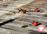 能够做到量力而行，也是心理成熟的一个重要标志。一个心理成熟的人，在任何关系中，都不会拔高自己去迎合对方的期待，不会掏空自己去成全对方的需求。