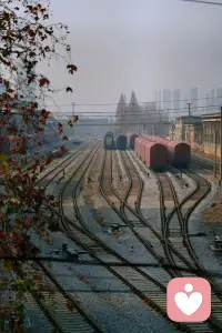 人是在错误里成长和进步的，不去体验，不去做，是不会犯错，但也错失了发展和成长自己的机会。