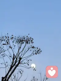 人不会因为年纪大就变得宽容，人只会因为自我成长而变得不易被外部世界晃动，从而看上去显得宽容。