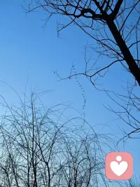 祝平安，健康，有勇气，也有自由！ 女神节快乐！❤️配图