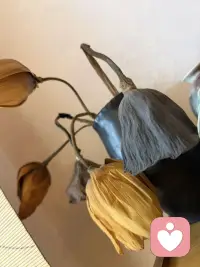 有时候一些悲伤，需要我们花费很长时间才能走出来，但这不代表我们能力不足，而是代表这个悲伤来自于灵魂的深度。配图