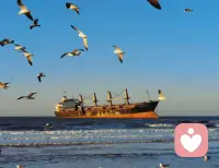 所有的心理问题归纳起来只有一种就是僵化，你如果能够让僵化的那个部分灵活一点，那你就一定会变得不一样。配图