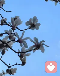 无论在任何时候，你都不必用修剪压缩自己的方式来稳定别人，用委屈换来的关系，本质是一场情感勒索。