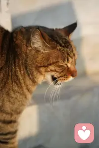 当你不再过度关注别人的目光，不过度在意别人的评价，当你觉得自己怎样都是可以的，别人怎样评价自己都是可以的，这时，你就会由内而外散发着一种松弛感。