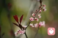 把模糊的焦虑，变成具体的问题。（不是“我完了”，而是“眼下最棘手的一件事是什么？）
把宏大的未来，拆解成今天的行动。（不是“我要财富自由”，而是“我今天可以做什么让收入增加
10元？”）
认可“此刻”的完成，而非“未来”的完美。（做好一顿饭，就享受饭香；完成一项工作，就认可自己的努力）。