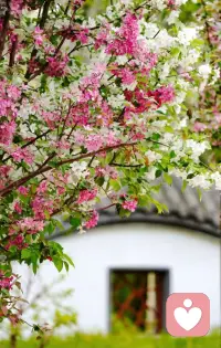 评估自己不要看自己的情绪要看自己的行为。