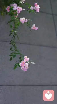 人不仅要修炼自己全力以赴解决问题的能力，也要修炼自己尽力之后坦然说“算了”的能力。