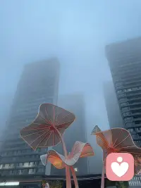 一个人的自我边界越清晰，就越能在关系中与他人深度联结——当我们确信自己有能力分离和独立，才不必时刻恐惧关系会带来控制或者吞没，才敢于真正走进关系深处。