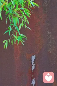 一个人对自我的接纳程度，决定了其面对负面评价时的受伤程度。越对自我有清晰的认知，对自我的接纳和满意度越高，越不容易受伤。