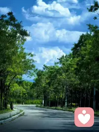 一段很烂的关系，支撑你走下去的并不是对方，而是你投射在对方身上的关于自己能够被理解、被看见、被善待、被爱的希望。什么时候，这所有的希望都破碎了，关系也就结束了。