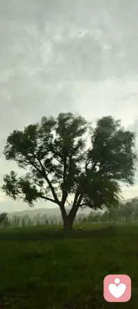 “我是被需要的”，可以在很大程度上抵消“我在别人的世界里无足轻重”的存在感缺失和价值感匮乏。 ​​