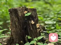 被讨厌，很正常。不正常的是，你不允许自己被讨厌，把被讨厌等同于自己不好，并不断开启自我证明模式。