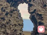 自我接纳的人，能宽容地对待他人的弱点和问题——因为宽容他人，就是宽容自己的延伸。
