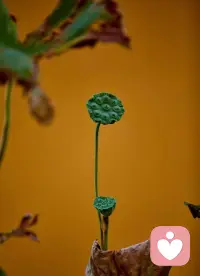 人是有欲望的，学会不压抑、隐藏自己的欲望，学会正视、接纳它们的存在，学会说“我想要”，很重要。