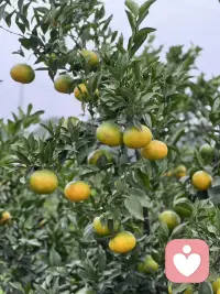 不用什么都有意义，生活中的许多瞬间都是细碎的美好！