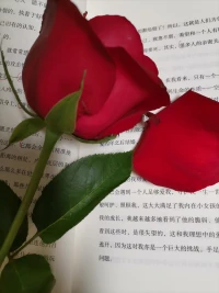 玫瑰就是玫瑰，
莲花就是莲花，
只要去看，
不要比较，
因为各有芳华。
的确，
别人的优秀与出色，
固然可以为我们所借鉴，
但自己就是自己，
一定要保持自己的本色。