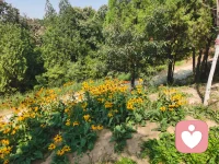 秋風瑟瑟，長天一色。?蒼穹明明，心空一光。?無煩惱之陰霾，有愉悅之經書。?說什么肉味香，怎能比讀書樂。?感恩生命之美好，精勤耕耘于心田。配圖