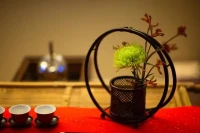 不要和任何糟糕的事情对抗，接纳便是修行！配图